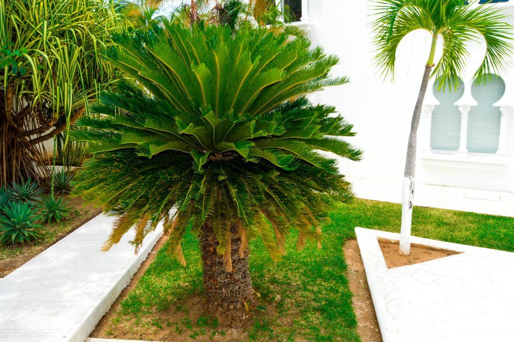 Hotel Aldea Del Bazar & Spa Puerto Escondido (Oaxaca) Exterior foto